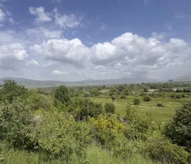 Land For Sale, Natakhari