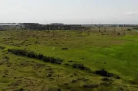 Land For Sale, For Investment, Telavi
