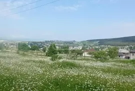 Продается Земля, Сельскохозяйственные, Цалка