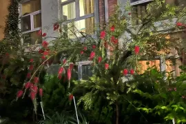Аренда, 2 Kомнатная, Новостройка, Тбилиси, Абанотубани