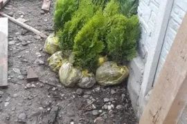 Продается Дом, 15 Kомнатная, Батуми, Кахаберский район