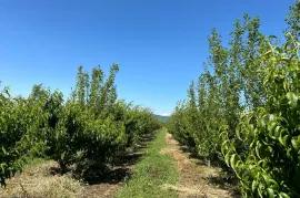 იყიდება მიწის ნაკვეთი, ზემო სობისი