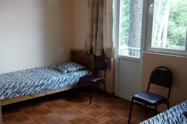 იყიდება სახლი, 6 ოთახიანი, ოზურგეთი, შეკვეთილი