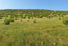 Land For Sale, Non Agricultural, Lisi lake