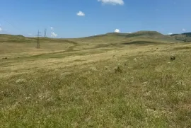 იყიდება მიწის ნაკვეთი, სასოფლო - სამეურნეო, ლილო