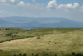 იყიდება მიწის ნაკვეთი, სასოფლო - სამეურნეო, ლილო