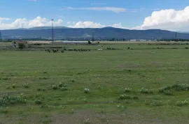 Land For Sale, Agricultural