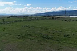 Land For Sale, Agricultural