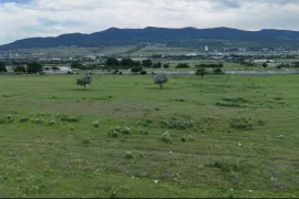 Land For Sale, Agricultural