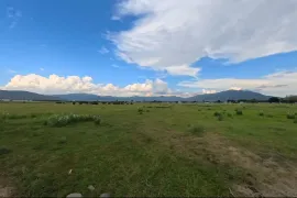 Land For Sale, Agricultural