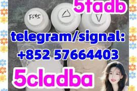 ქირავდება ბინა, 3 ოთახიანი, ახალი აშენებული, ადიგენი