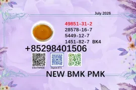 Factory supply BMK cas 5449-12-7 / 28578-16-7 PMK powder BK4 BVF with high 