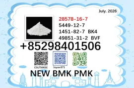 World Trade Vendor BMK PMK Powder CAS 5449-12-7 and 28578-16-7