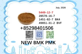 World Trade Vendor BMK PMK Powder CAS 5449-12-7 and 28578-16-7