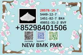 Best price cas 5449-12-7 and 28578-16-7 BMK PMK powder