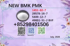 CAS 5449-12-7/28578-16-7 Factory bulk supply Pharmaceutical Intermediate