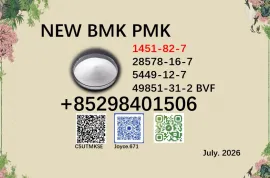5449-12-7 BMK PMK 28578-16-7 factory supply in large capacity