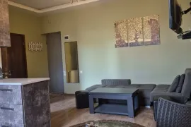 Аренда, 2 Kомнатная, Старое здание, Тбилиси, saburtalo