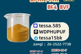 5449-12-7 BMK Glycidic Acid Sodium High Purity New Mass Stock