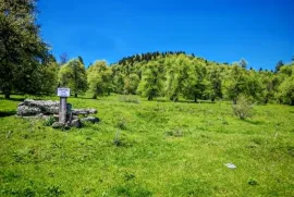 იყიდება მიწის ნაკვეთი, სასოფლო - სამეურნეო, ციხისჯვარი 