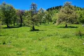 იყიდება მიწის ნაკვეთი, სასოფლო - სამეურნეო, ციხისჯვარი 