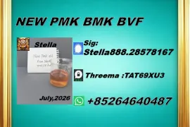 იყიდება მიწის ნაკვეთი