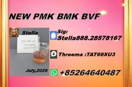 იყიდება მიწის ნაკვეთი