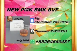იყიდება მიწის ნაკვეთი