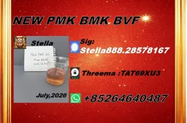 იყიდება მიწის ნაკვეთი