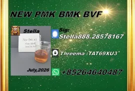 იყიდება მიწის ნაკვეთი