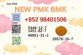 BMK 5449-12-7 supplied PMK 28578-16-7 powder oil factory