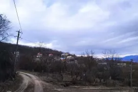 იყიდება მიწის ნაკვეთი, სასოფლო - სამეურნეო, კოჭობა