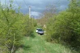 იყიდება მიწის ნაკვეთი, სასოფლო - სამეურნეო, კოჭობა