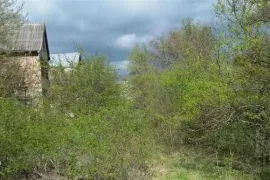 იყიდება მიწის ნაკვეთი, სასოფლო - სამეურნეო, კოჭობა