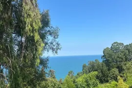 Аренда Посуточно, 2 Kомнатная, Кобулетский Район, Tsikhisdziri