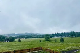 იყიდება სახლი, 4 ოთახიანი, ბორჯომი, ბაკურიანი