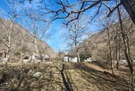 Land For Sale, Agricultural, Pasanauri