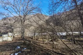 Land For Sale, Agricultural, Pasanauri
