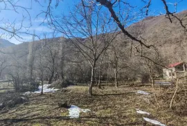 Land For Sale, Agricultural, Pasanauri