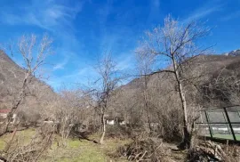 Land For Sale, Agricultural, Pasanauri