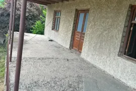 იყიდება სახლი, 10 ოთახიანი, თელავი, რუისპირი 