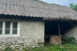 იყიდება სახლი, 10 ოთახიანი, თელავი, რუისპირი 
