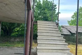იყიდება სახლი, 10 ოთახიანი, თელავი, რუისპირი 