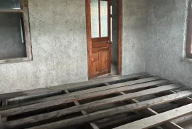 იყიდება სახლი, 10 ოთახიანი, თელავი, რუისპირი 