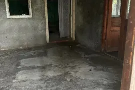 იყიდება სახლი, 10 ოთახიანი, თელავი, რუისპირი 