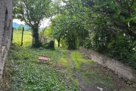 იყიდება სახლი, 10 ოთახიანი, თელავი, რუისპირი 