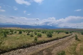 Продается Земля, Не Сельскохозяйственный, Тбилисское море