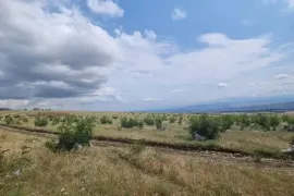 Продается Земля, Не Сельскохозяйственный, Тбилисское море