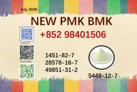 Efficient cas 5449-12-7 and 28578-16-7 BMK PMK powder in bulk supply with 1