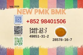 5449-12-7 cas 28578-16-7 BMK PMK powder 1451-82-7 49851-31-2 support 